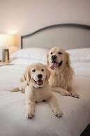 Sheraton Montreal Airport Hotel