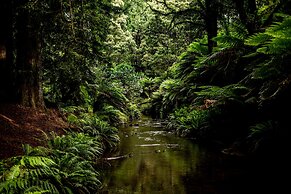 Apollo Bay Motel and Apartments, BW Signature Collection