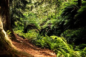 Apollo Bay Motel and Apartments, BW Signature Collection