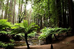 Apollo Bay Motel and Apartments, BW Signature Collection
