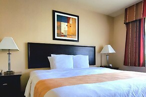 Quality Inn & Suites Anaheim At The Park