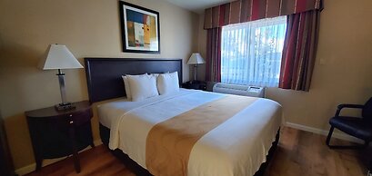 Quality Inn & Suites Anaheim At The Park