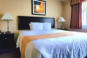 Quality Inn & Suites Anaheim At The Park