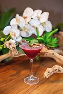 B Ocean Resort Fort Lauderdale Beach