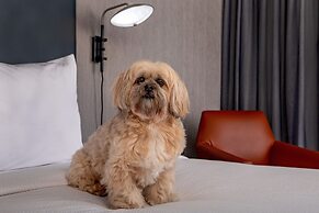 Courtyard by Marriott Boston Marlborough