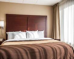 Quality Inn & Suites Orland Park - Chicago