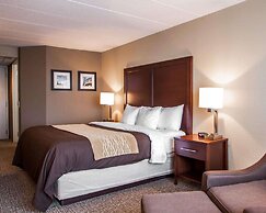 Quality Inn & Suites Orland Park - Chicago