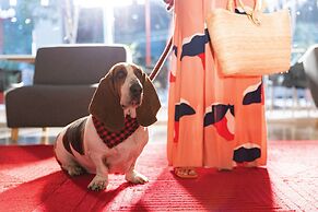 Fiesta Inn Aeropuerto Ciudad de Mexico