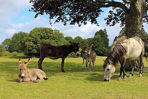 voco Fareham - Solent by IHG