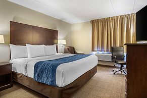 Comfort Inn Grand Rapids Airport