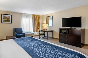 Comfort Inn Grand Rapids Airport