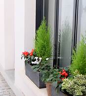 Hotel Saint Dominique