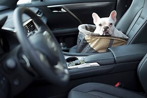 The St. Regis Aspen Resort