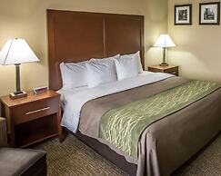 Comfort Inn Morris I-80