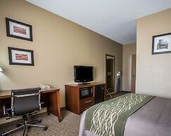 Comfort Inn Morris I-80