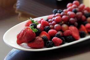 Renaissance Mobile Riverview Plaza Hotel