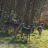 Ashdown Park Hotel & Country Club