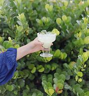 Hilton Palm Beach PBI