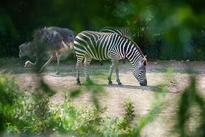 Four Points by Sheraton Little Rock Midtown