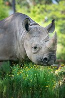 Four Points by Sheraton Little Rock Midtown