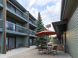 Best Western Plus Tree House