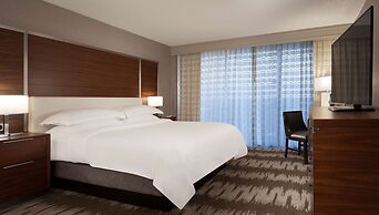 Hilton Tampa Airport Westshore