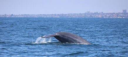 Hyatt Regency Irvine