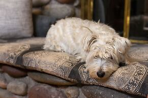 Aspen Mountain Lodge