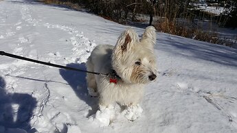 Aspen Mountain Lodge