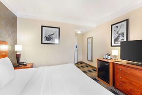 Best Western The Inn At Rochester Airport