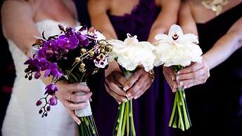 Kimpton Hotel Enso by IHG