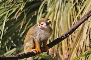 Crowne Plaza Phoenix Airport - PHX by IHG