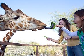 Crowne Plaza Phoenix Airport - PHX by IHG