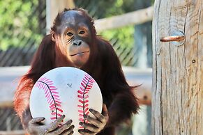 Crowne Plaza Phoenix Airport - PHX by IHG