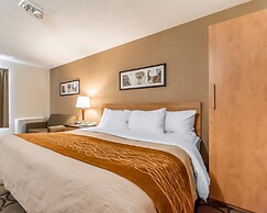 Comfort Inn Riviere-du-Loup