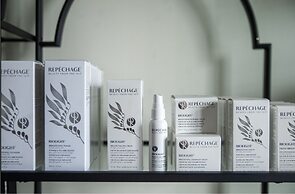 The Blennerhassett Hotel