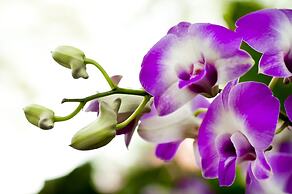 Holiday Inn Singapore Orchard City Centre by IHG