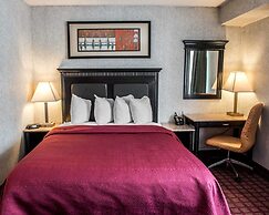 Quality Inn & Suites North