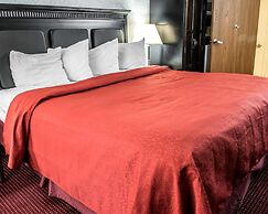 Quality Inn & Suites North