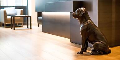 Hôtel des Voyageurs