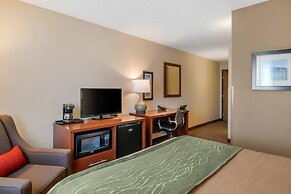 Comfort Inn Medford North