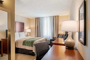 Comfort Inn Medford North