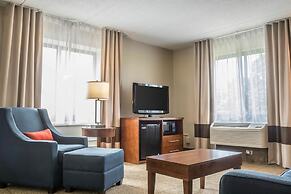 Comfort Inn The Pointe