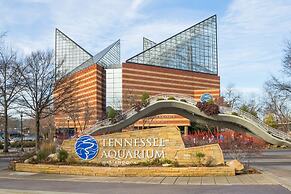 Knights Inn Chattanooga