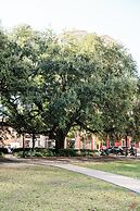 The Lafayette New Orleans By Kasa Living