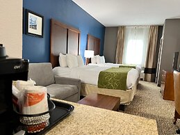 Comfort Suites Louisville East