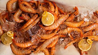 Hotel Algarve Casino