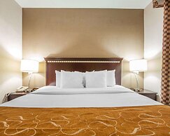 Comfort Suites London