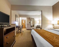 Comfort Suites London