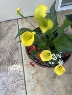 Days Inn by Wyndham Port Charlotte/Punta Gorda